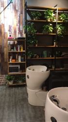 -美格丝M.G.S Hair Salon