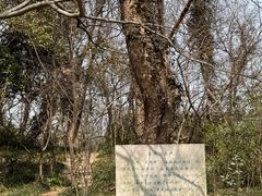 -淹城春秋乐园