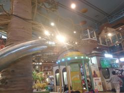 -卡通尼·Safari非洲探索乐园·生日会(金桥国际商业广场店)