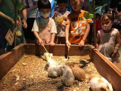 -酷嗒动物文化乐园(cutezoo西溪乐天城店)