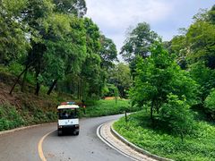 -广州市帽峰山景区