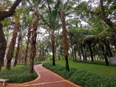 -深圳龙潭公园
