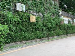 -喜洲吧·江畔老船厂·庭院餐厅(喜临院店)