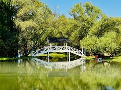 -上海共青森林公园