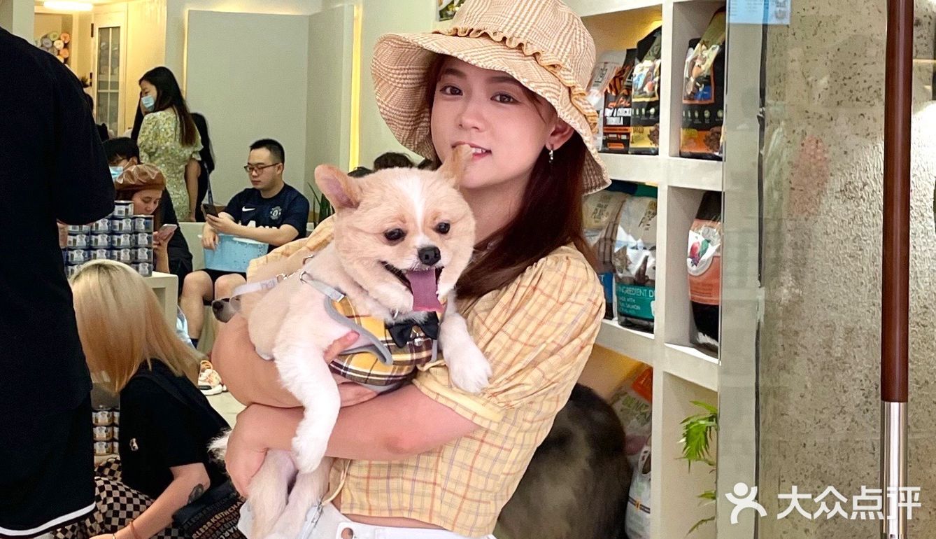 重庆探店丨重庆宠物店天花板罐头还五折❗🐶