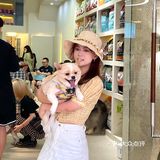 重庆探店丨重庆宠物店天花板罐头还五折❗🐶