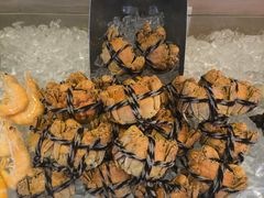 -富力希尔顿酒店·地阔自助餐厅