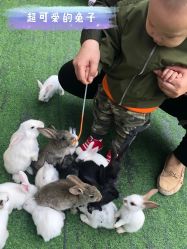 -萌宠亲子动物乐园(槐房万达店)