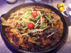 -老板恋上鱼(恒隆广场店)