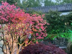 -绿色菜园·农家土菜(贤山店)