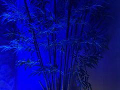 -唐宫足道·SPA·影院会馆(木渎店)