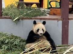 -杭州野生动物世界
