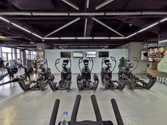 -天行健身＆天行拳馆跆拳道·格斗TXGYM