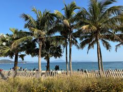 -大梅沙海滨公园