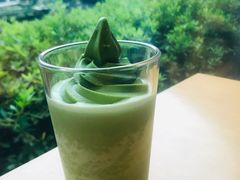 -雪绿茶博物馆