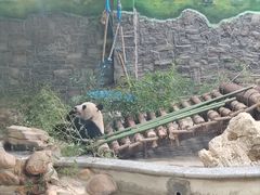 -黔灵山公园-南门售票处