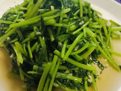 蒜蓉茼蒿-林之六八·6886大连老菜馆