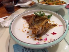 -松沪名灶·新上海菜(飞航吾悦广场店)