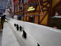 -广州热雪奇迹