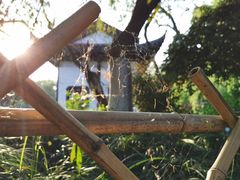 -西湖外事游船(花港观鱼码头)