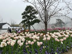 -苏州上方山国家森林公园