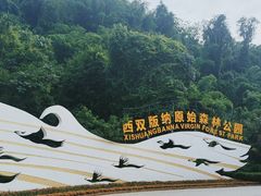 -西双版纳原始森林公园