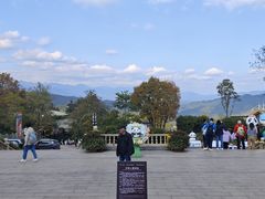 -熊猫主题餐厅