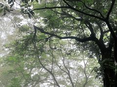 -福建泉州仙公山风景名胜区