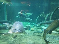 -华夏文旅海洋公园