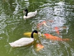 -深圳野生动物园