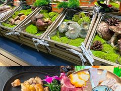 -一朵菌·野生菌探索家火锅(南亚店)