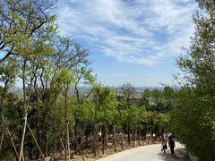 -北京西山国家森林公园