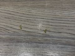 -东方之珠KTV娱乐超市(河北店)