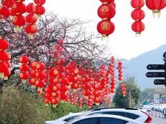 -东莞观音山旅游风景区