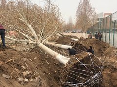 -河北工业大学(北辰校区)