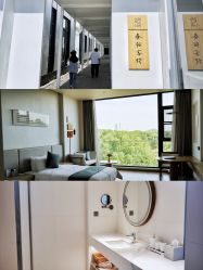 -太湖雪蚕桑文化园
