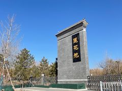 -莲花池公园