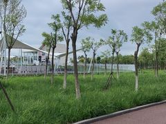 -天津东丽湖风景区