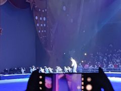 -珠海横琴长隆《卡卡虎奇遇记》