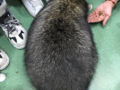 -藦茜花园宠物主题亲子互动体验馆(国顺东路店)