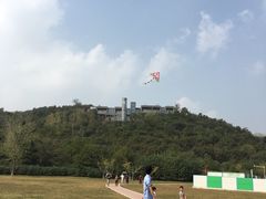 -羊山湖公园