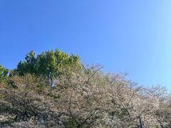 -杭州少年儿童公园