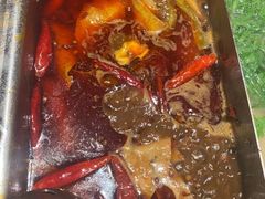 -渡娘火锅(大兴大悦春风里店)