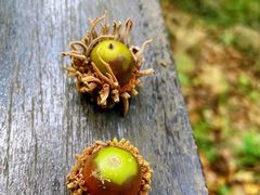 -宝岩生态观光园