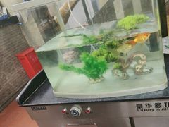 -老五烧烤(石牌岭店)