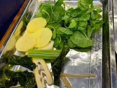 -金鼎雪山牦牛杂火锅(理县总店)