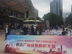 -中央公园(苏州工业园区)