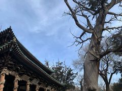 -晋祠公园