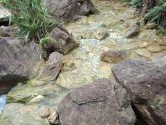 -南海湾森林生态园