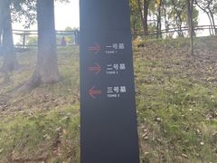 -马王堆汉墓遗址